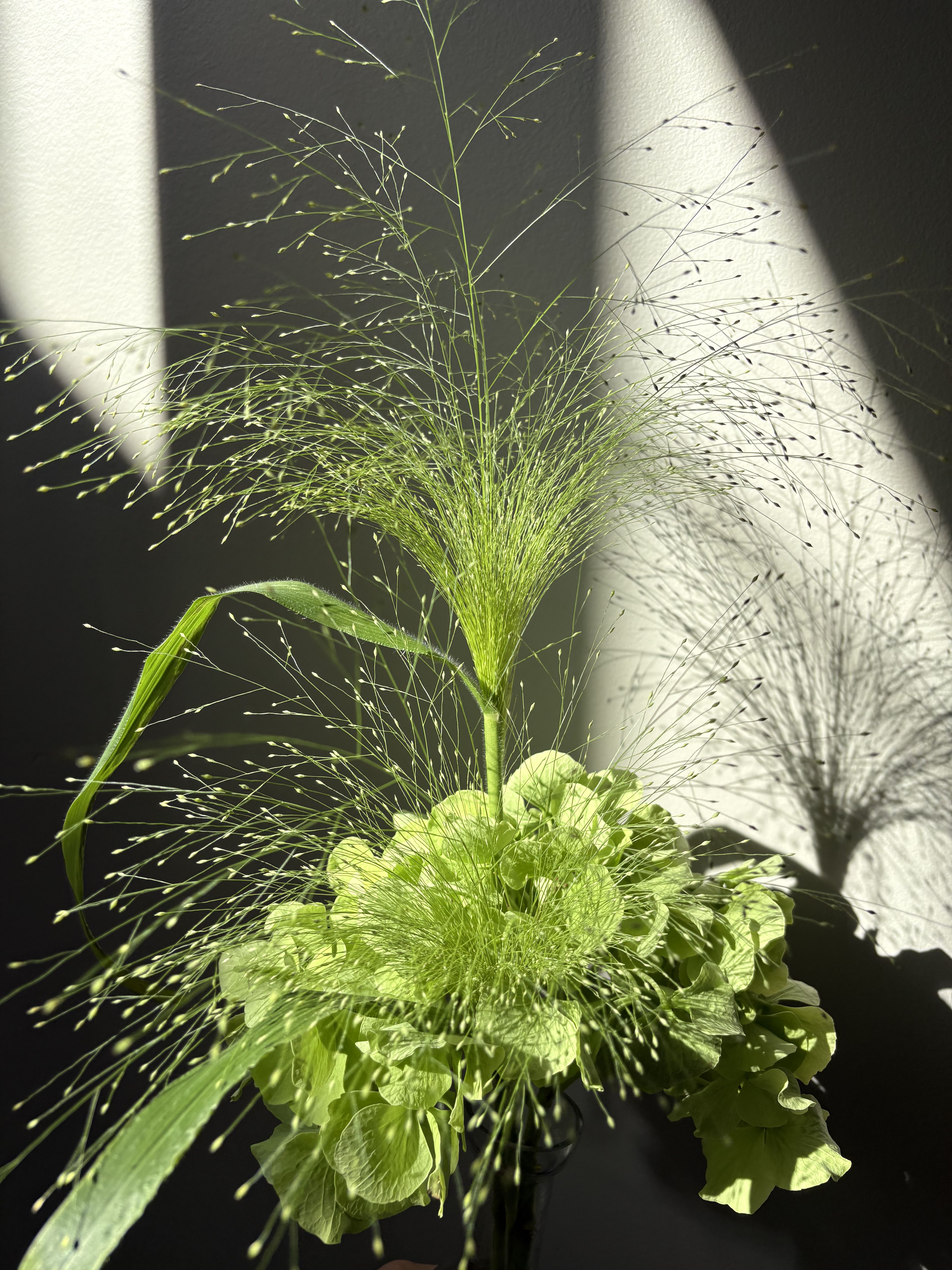 [UPDATE: Description of editorial floral design photo]